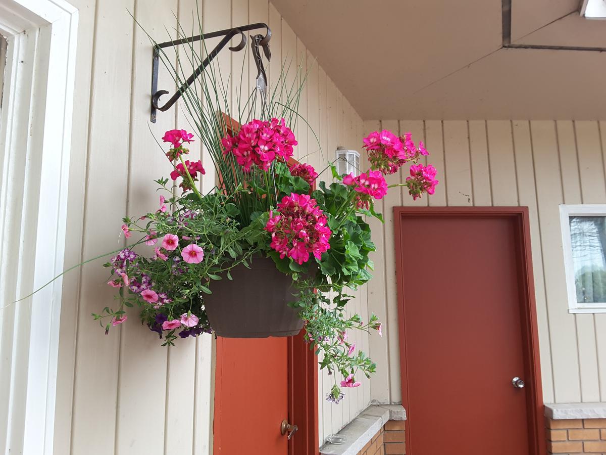Pine Grove Motel Sault Ste. Marie Exterior foto
